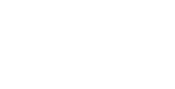 Hotel X
